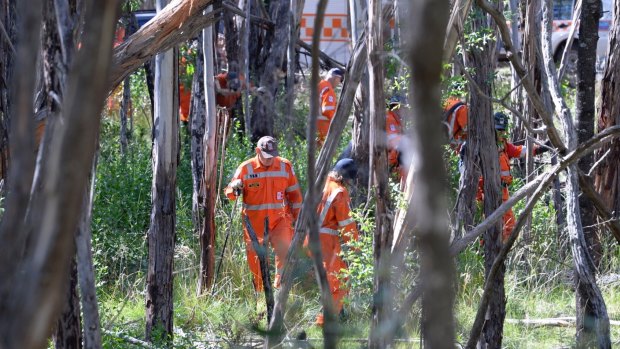 SES volunteers search the bushland where Karen Ristevski's body was found.