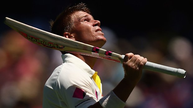 Inspired: Australian batsman David Warner.