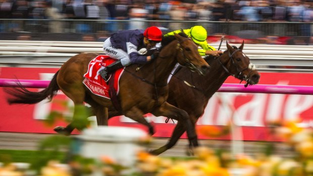 Contenders: Almandin and Heartbreak City charge neck and neck to the finish in last year's Melbourne Cup.