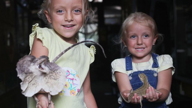 Immogen Hill, 7, left, holds a frill-neck lizard and sister Lucy, 5, carries a bearded dragon in Pendle Hill on Saturday.
