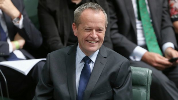 Bill Shorten blames Tony Abbott and Malcolm Turnbull for stopping legal same-sex marriage, but he's only half-right.