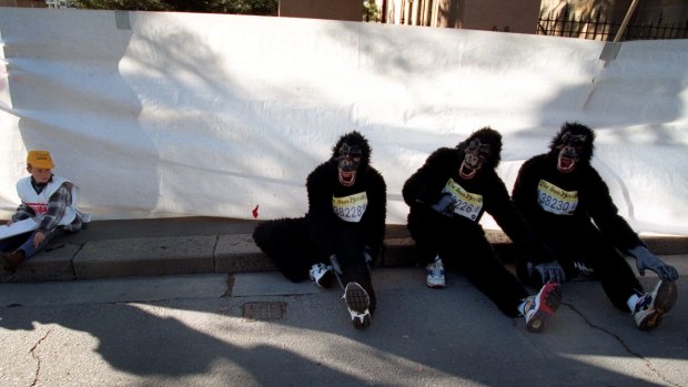 Monkey madness: Rob, Paul and Michael Stanley-Jones stretch during the 1997 City2Surf. 