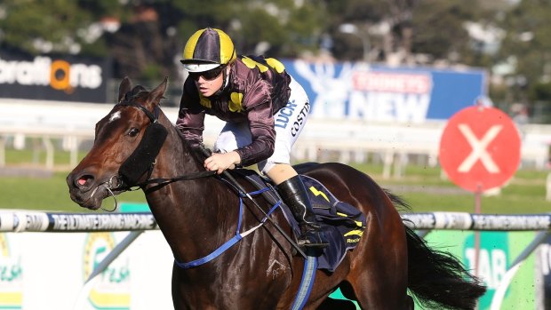 Treble: Winona Costin rides Queen Of Kariba to victory, one of her three wins at Rosehill on Saturday.