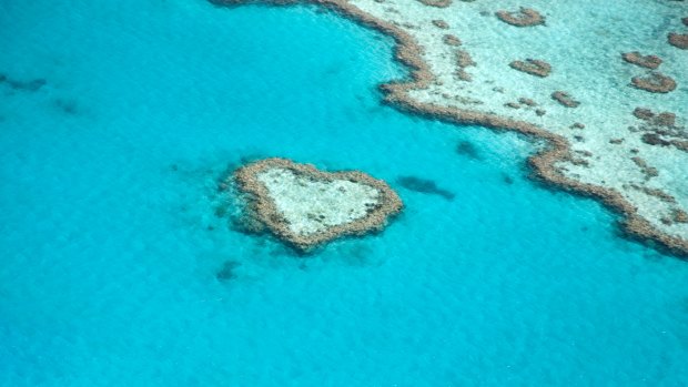 Heart Reef on the Great Barrier Reef.