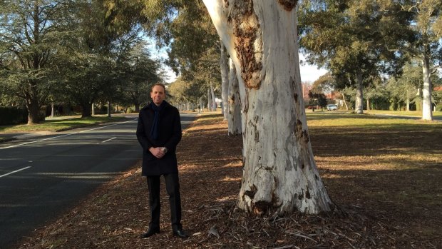 Capital Metro Minister Simon Corbell with brittle gum trees on Captain Cook Crescent in Griffith.