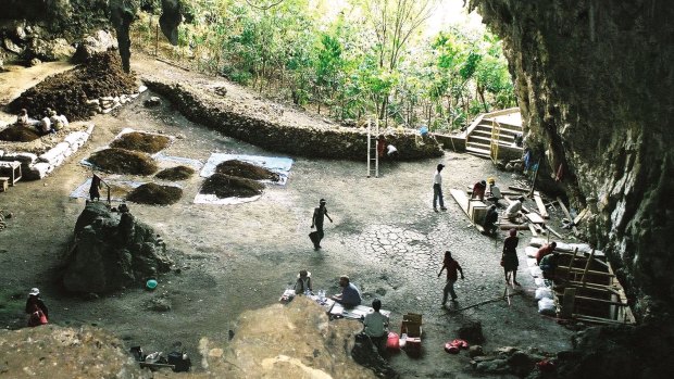 The cave on Flores, Indonesia, where Homo floresiensis was discovered by a team led by the late Mike Moorwood in 2003.