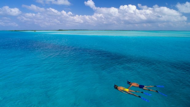 A snorkeller drifts past in azure waters.