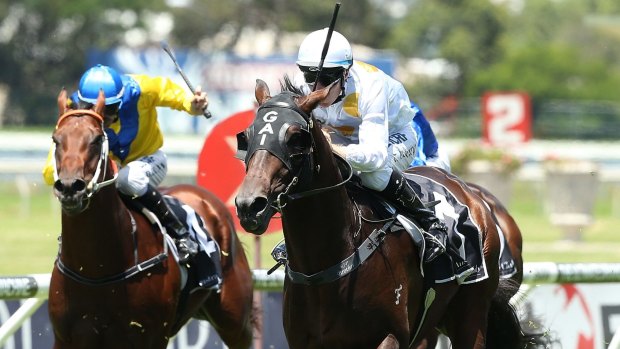 Grand plans: Tommy Berry rides Vancouver to victory at Rosehill on Saturday.