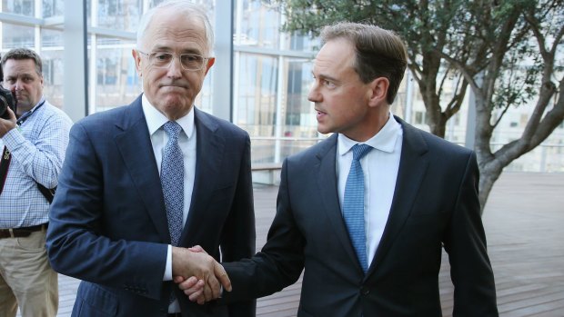 Environment Minister Greg Hunt says his climate policies are working, but other are not convinced.