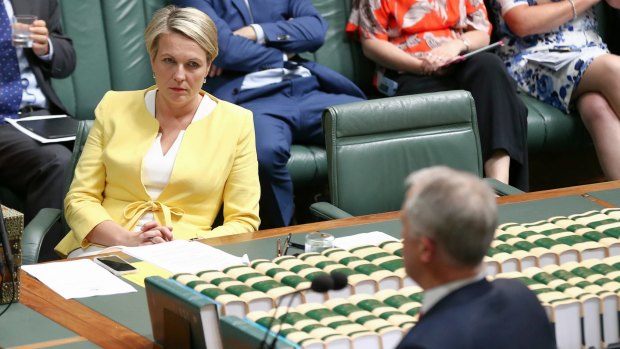 Deputy Opposition Leader Tanya Plibersek and Prime Minister Malcolm Turnbull have found themselves at odds over a skate park.