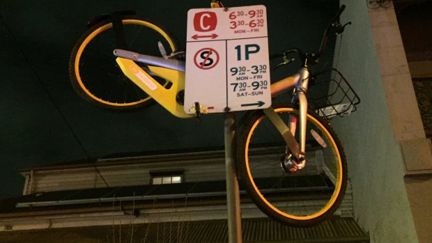 An oBike atop a sign on grand final day last month.