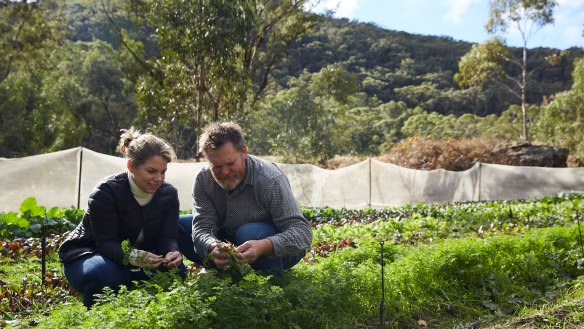Danielle Alvarez will be working closely with farmers such Fabrice Rolando. His wide-ranging produce includes shepherd's purse, New Zealand oca, olive herb and Chinese artichokes.