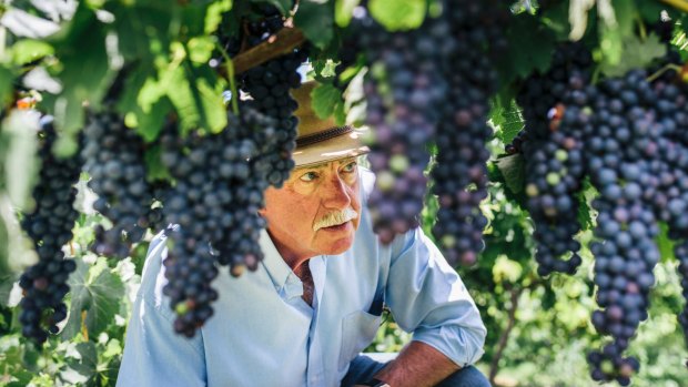 John Leyshon, president of the Canberra District Wine Industry Association, said winemakers are dependant on seasonal labour.