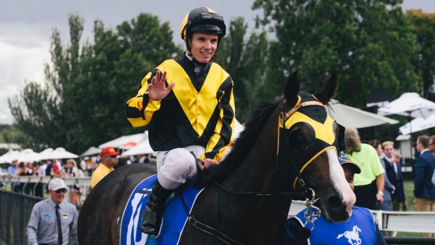 Underestimated: Tim Clark returns on Trapeze Artist after last year's Black Opal.