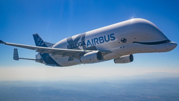 The Airbus BelugaXL in flight.