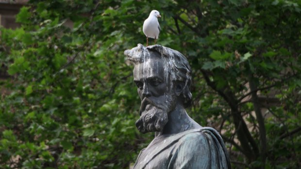 The Burke and Wills statue on City Square appears to be a popular landing point for seagulls.