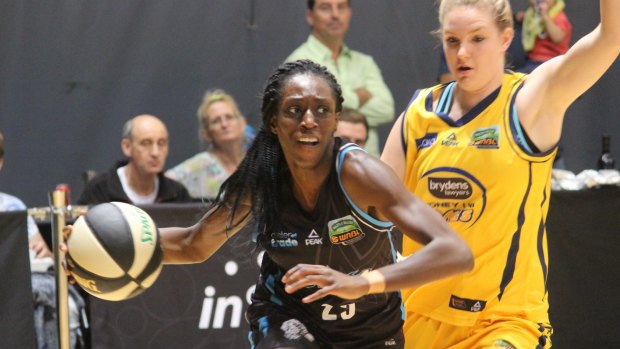 Ify Ibekwe stars as the South East Queensland Stars rebounded from a loss to Bendigo on Saturday night by defeating the Melbourne Boomers.
