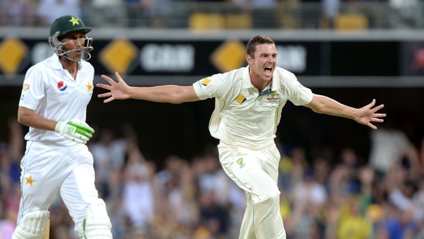 Howzat: Josh Hazlewood celebrates taking the wicket of Younis Khan at the Gabba on day two.