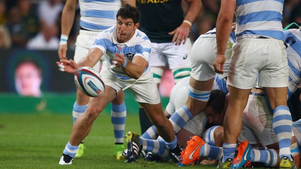 Argentina halfback Tomas Cubelli says the Pumas will play without fear against Australia.