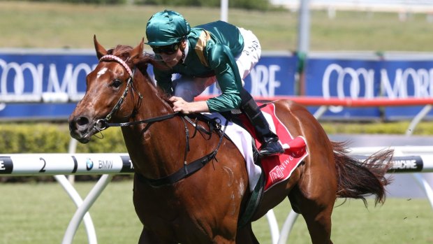 The Slipper can wait: Peter Snowden isn't getting caught in Captialist's Gold Slipper hype.