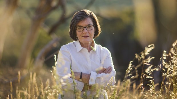 Independent MP Cathy McGowan is the only crossbench MP left guaranteeing supply and confidence.