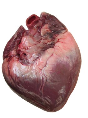 Beats me: Heart transplants raise sticky issues.
