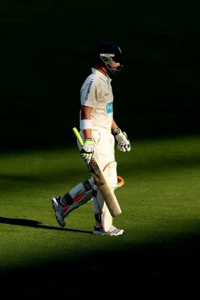 Home away from home: Phillip Hughes at the Adelaide Oval.