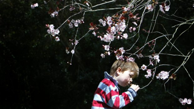 After a wintry start, spring weather is finally blossoming in Melbourne. 