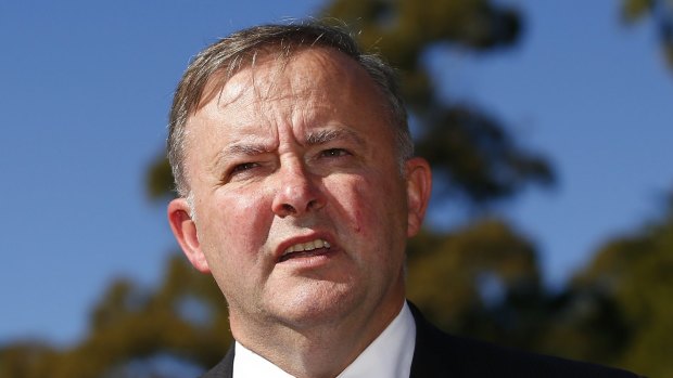 Anthony Albanese has revealed the Gillard and Newman government's had agreed on Cross River Rail to the extent a joint media conference had been organised.