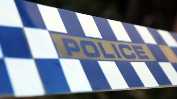 Police said the man was struck by a vehicle and died in the early hours of Sunday at Eight Mile Plains. 