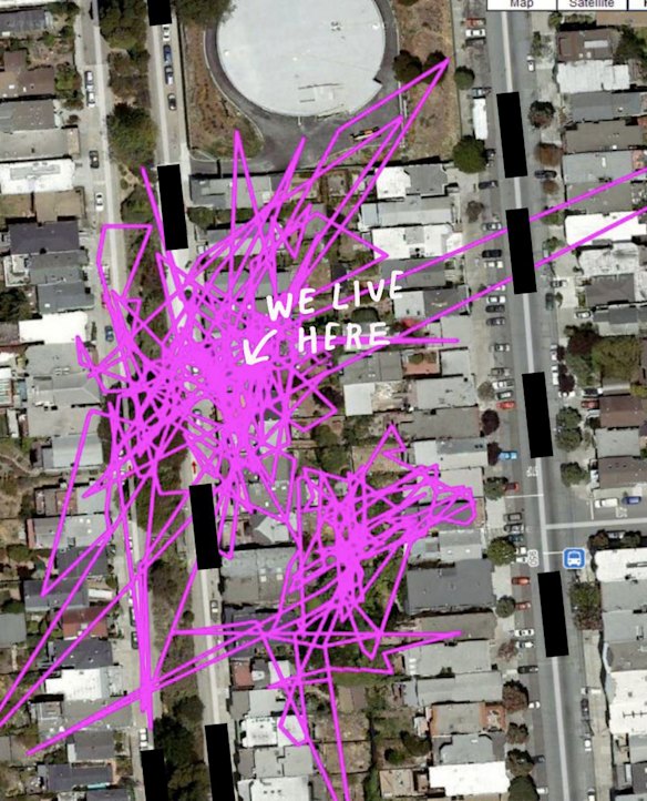About 40 per cent of cats thought by their owners to be inside at night had out with night time home ranges of more than one hectare.