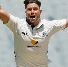 Marcus Stoinis is hoping his one-day form can earn a spot in the Australian Test team.