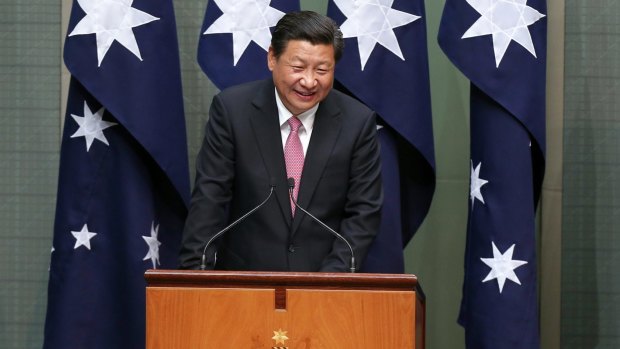 Chinese President Xi Jinping addresses members of the upper and lower houses.