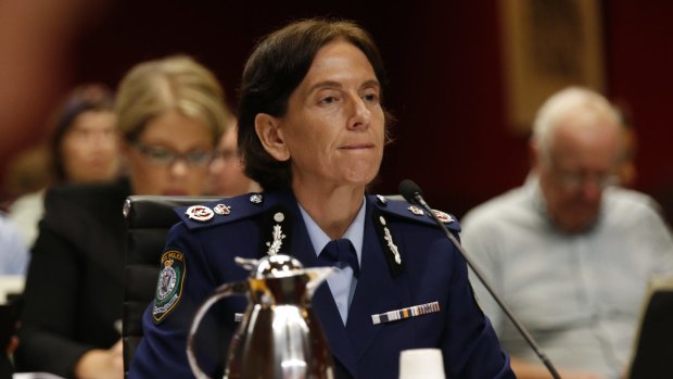 NSW police Deputy Commissioner Catherine Burn gives evidence at the  inquiry.