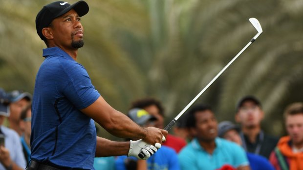 Playing through the pain: Tiger Woods.