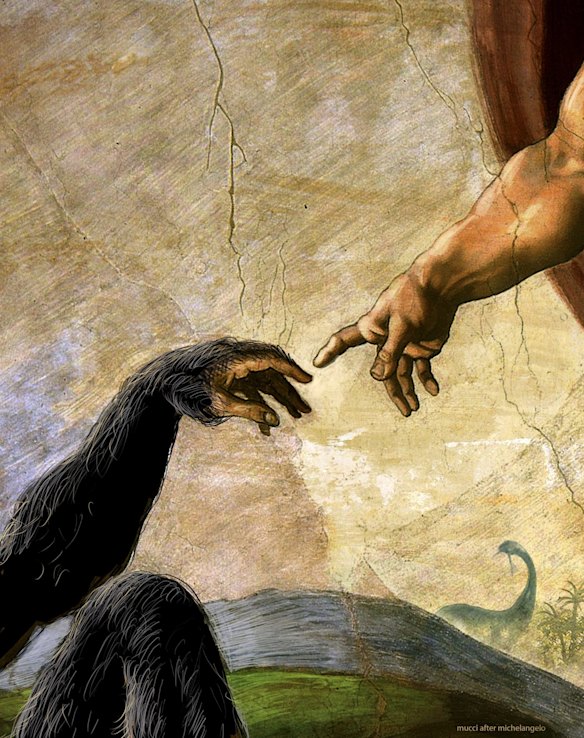 Science used to trace how creationist anti-evolution tactics have evolved