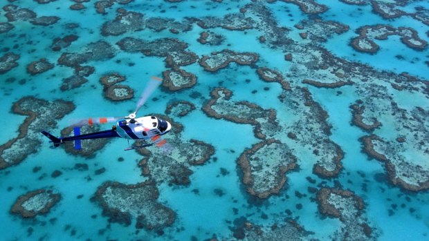 Reef risks should have been considered in new coal mine approval, green group says.