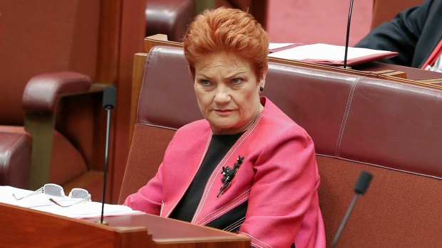 Pauline Hanson has given voice to some voters who would normally look to the Liberals but now have an alternative.