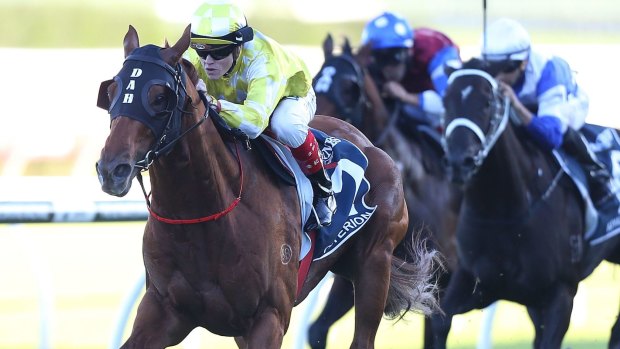 What a horse: Craig Williams riding Criterion to win the Queen Elizabeth Stakes last year.