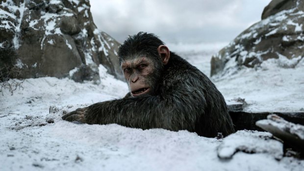 Andy Serkis as ape leader Caesar.  