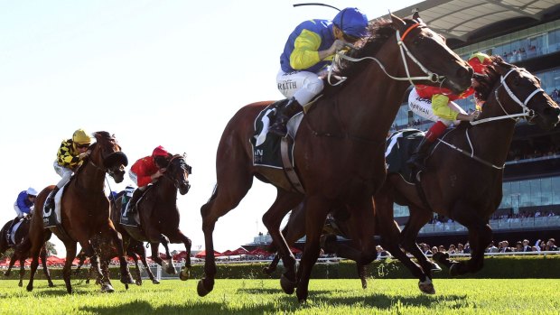 Underrated: Le Romain wins his first group 1,  the Randwick Guineas, and looks for a fourth top level win in Saturday's Memsie Stakes at Caulfield