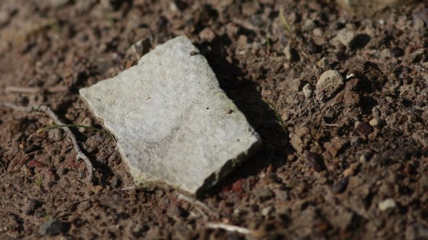 Fragments of old cement sheeting containing asbestos ended up in soil used in landscaping works at Syndal South Primary School.