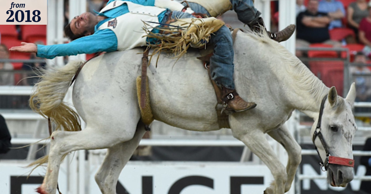 Easter Show Rodeo