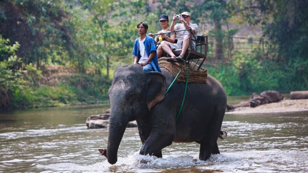 Questions about the ethics of elephant safaris are increasing.