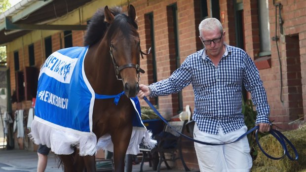 Under control: Trainer Mick Price with Blue Diamond contender Flying Artie.