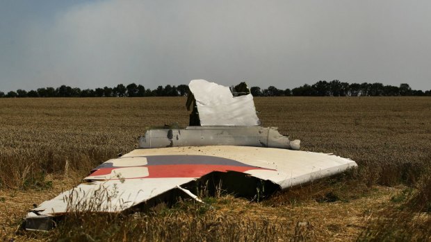 A portion of a MH17 wing lies in a field as smoke rises behind the treeline where fighting continued close to the crash site.