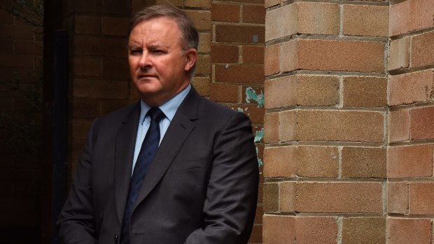 Federal Labor politician Anthony Albanese, the son of a single mother, says he is offended by One Nation's David Archibald calling single mothers lazy.