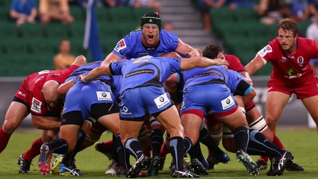 Legal writ: The Western Force are taking their fight for survival to the courts.