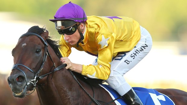 Top hope: Pornichet returns in the Warwick Stakes at Randwick on Saturday
