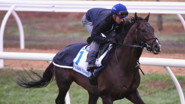 Favourite: Fame Game is put through his paces by Zac Purton at Werribee Racecourse.
